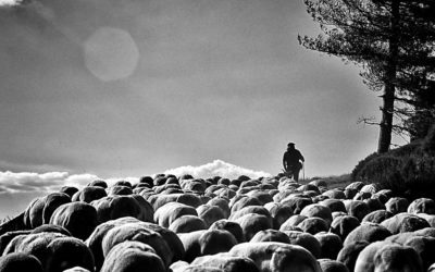 Nouvelle exposition à la galerie photo des Schistes