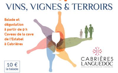 VINS, VIGNES ET TERROIRS 2022