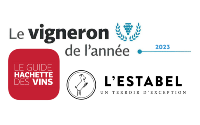 La Cave de l’Estabel élue « Vigneron de l’année » dans le Guide Hachette