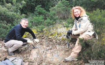 Un extraordinaire “Zoo fossile” mis au jour par des amateurs à Cabrières (34800)