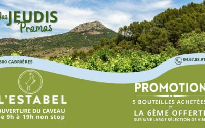 LES JOURNEES PROMOS DE L’ETE 2024