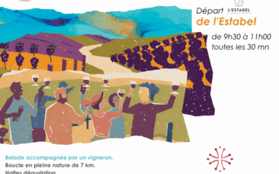 Vins, Vignes et Terroirs