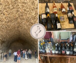 L'Estabel en immersion dans la grotte de Labeil