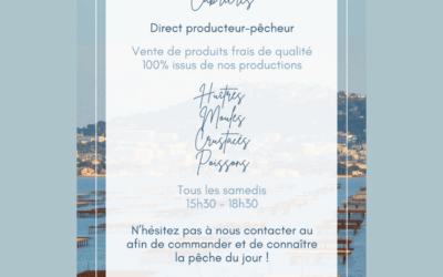 VENTE DE COQUILLAGES TOUS LES SAMEDIS