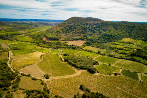 Pourquoi visiter la cave de l’Estabel lors de votre séjour dans l’Hérault ?