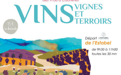 VINS VIGNES ET TERROIR BALADE VIGNERONNE A CABRIERES