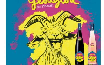 Jeudi 19.11 : Sortie Vin Primeur AOP rouge et rosé